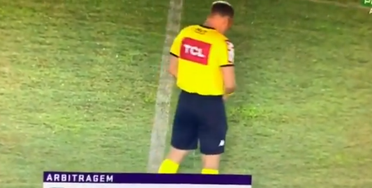 Arbitri urinon më mes fushës, gjatë ndeshjes për Kupën