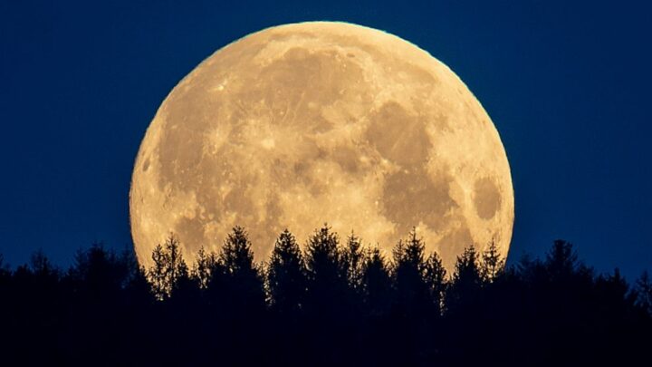 Të mërkurën shikoni “Super Lulen e Hënës  së Gjakut”, eklipsin e parë të kësaj dekade