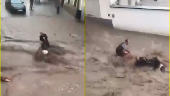 VIDEO-Heroi austriak shpëton çiftin turk, gjatë përmbytjes në Hallein të Austrisë