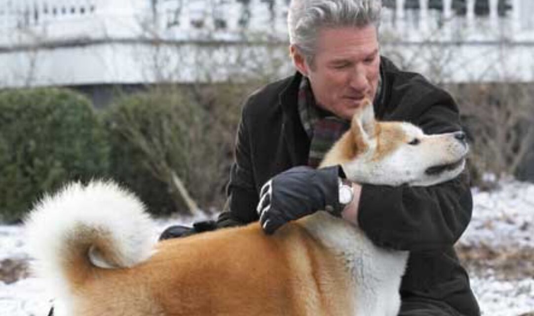 ‘Janë servilë’, studimi austriak mbi qentë: Nuk janë as besnik dhe as mirënjohës
