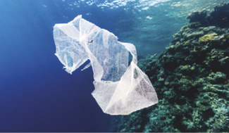 Ndalohen qeset plastike, Shqipëria i heq nga përdorimi, afati deri në 1 qershor 2022