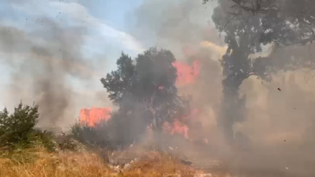 (VIDEO) Rikthehen zjarret, flakët bllokojnë rrugën Vlorë-Fier