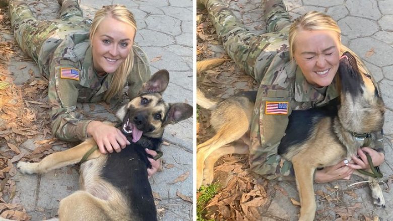 Momenti kur ushtarja amerikane ribashkohet me qenin që e gjeti në Kosovë