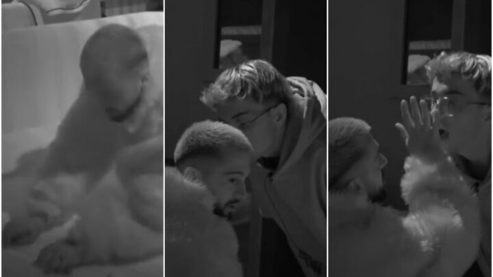 Ia thyen vezët në shtrat, Vserlo nuk i ndahet Gjestit, i afrohet tek fytyra 