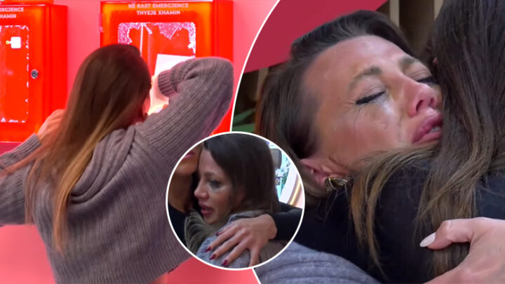 Gerta thyen kutinë e emergjencës, përfundon duke qarë me dënesë në oborr