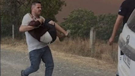 Flet polici hero që rrezikoi jetën për të shpëtuar të moshuarën në Gramsh