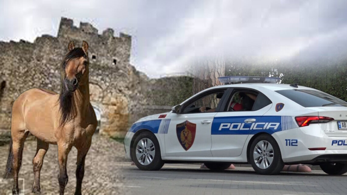 Vrasja me thikë në kalanë e Beratit, shkak u bë një kalë! Viktima ishte turist nga Tirana Vrasja me thikë në kalanë e Beratit, shkak u bë një kalë! Viktima ishte turist nga Tirana